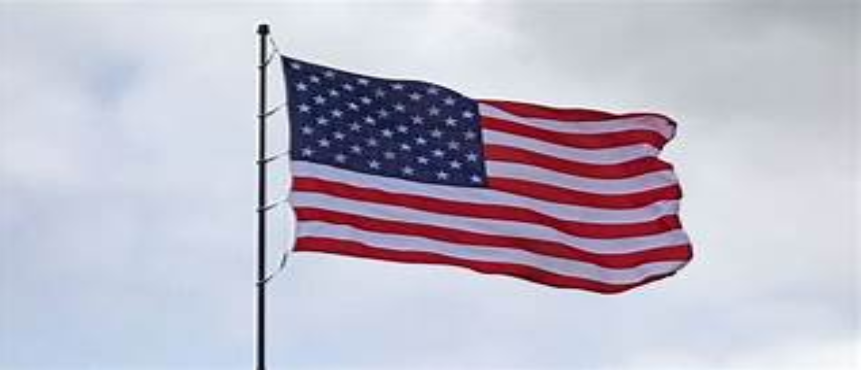 american reaction