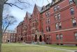 harvard university