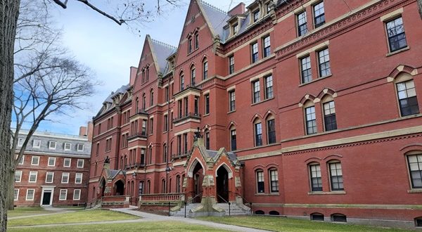 harvard university