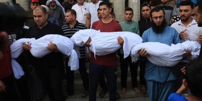gaza strip