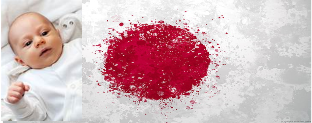 japani rule