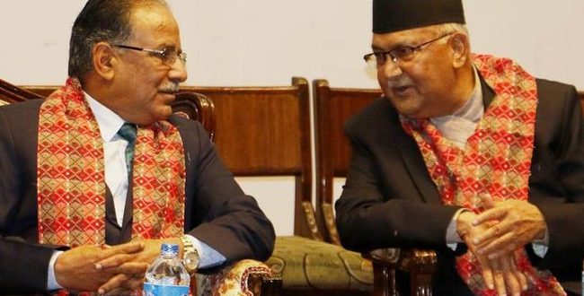 kp-oli-