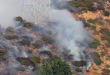 israel forest fire