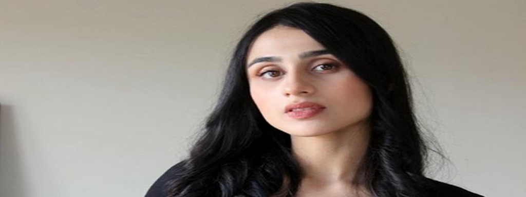 pakistani ancor