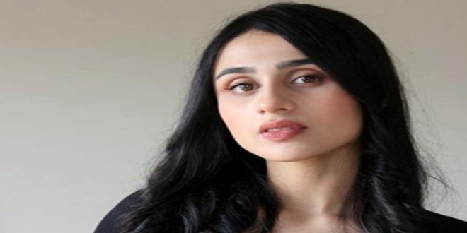 pakistani ancor