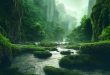 amazone forest