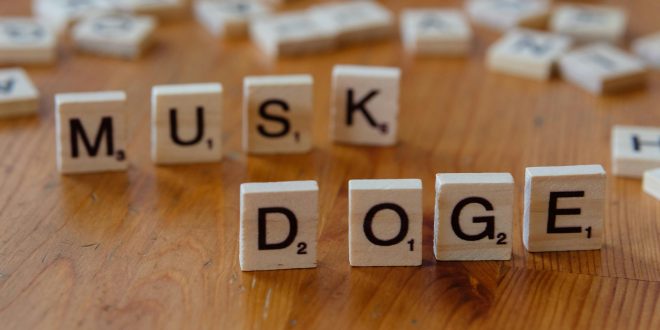 -doge-and-musk