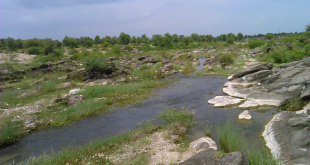 river me dubne se mout