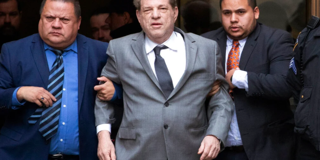 harvey weinstein