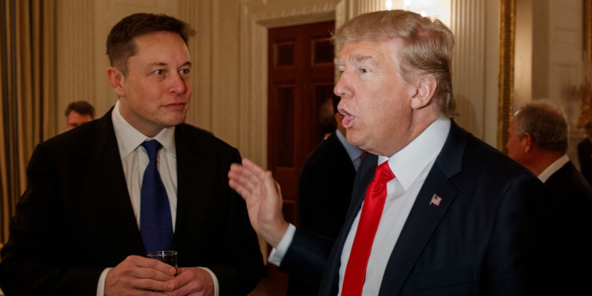 musk-trump