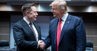 trump-musk